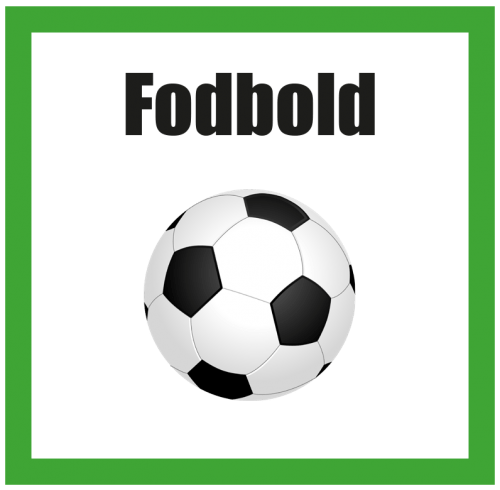 Fodbold